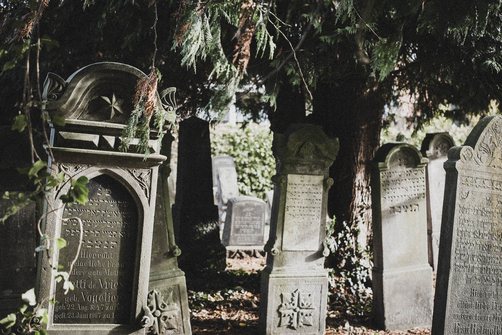 Leer (Ostfriesland), Jüdischer Friedhof